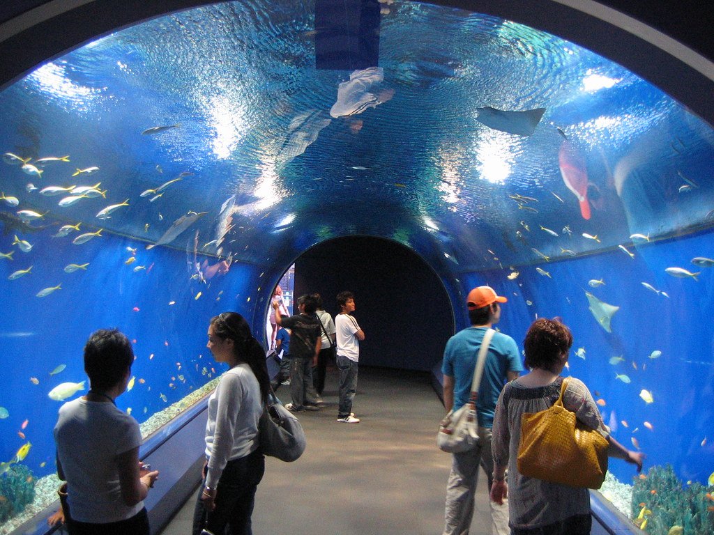 Hurghada Grand Aquarium