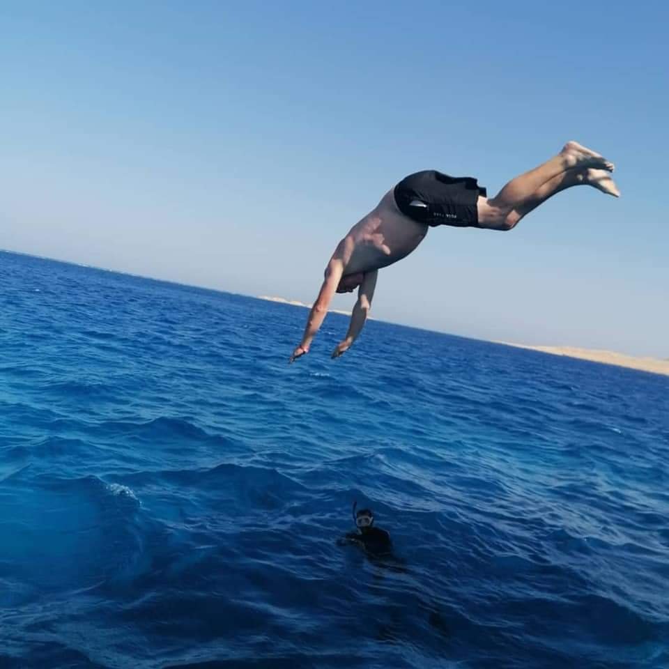 Dolphin House Snorkeling tour