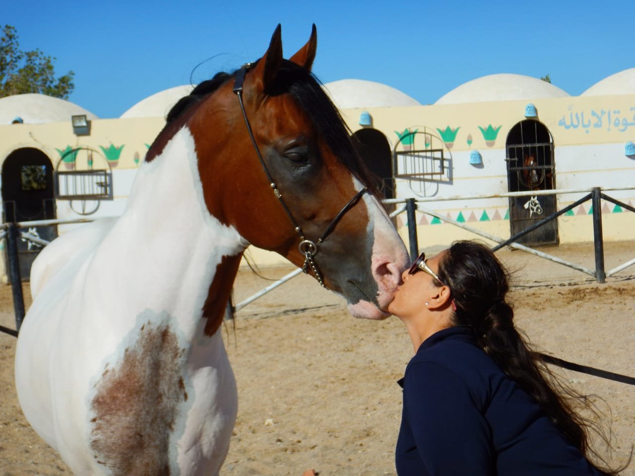 Hurghada: horseback riding adventure