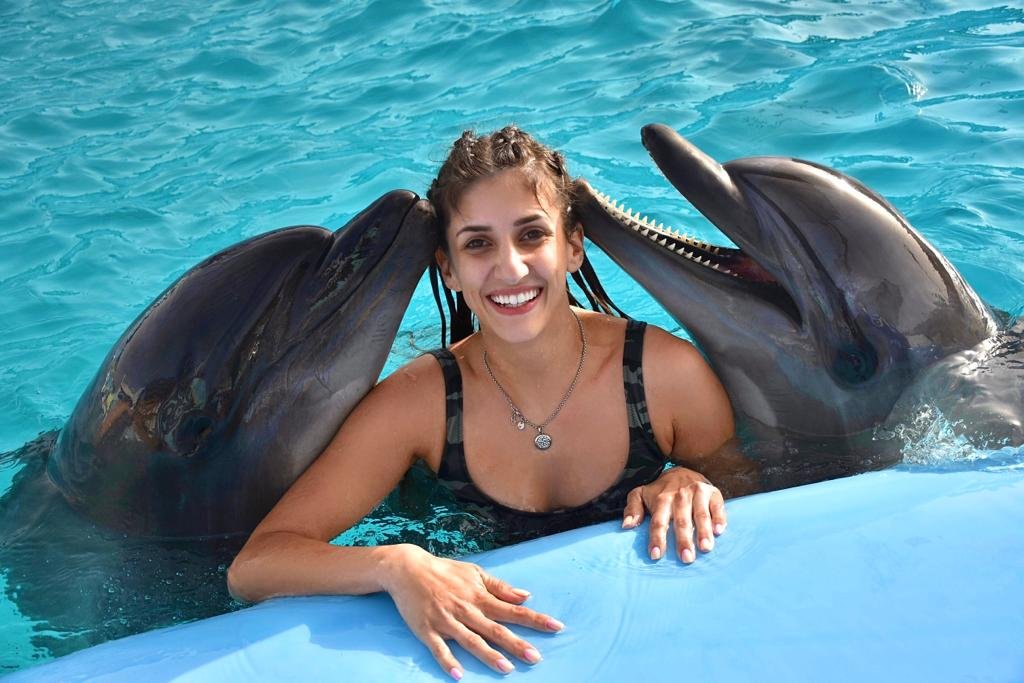 Photo season with Dolphins