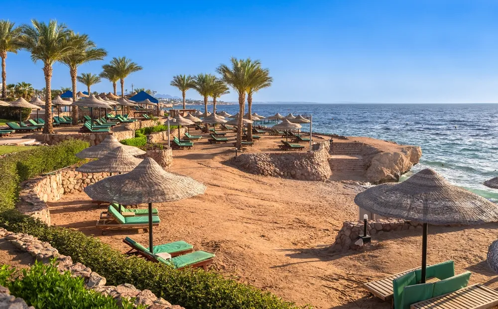Sharm El Shiekh: Beach and City Desert Horse Riding Tour