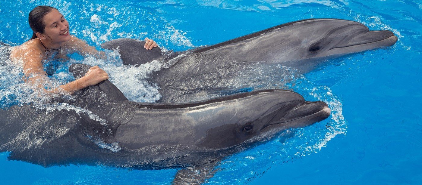 Swimming and Photo Session with Dolphins in Hurghada