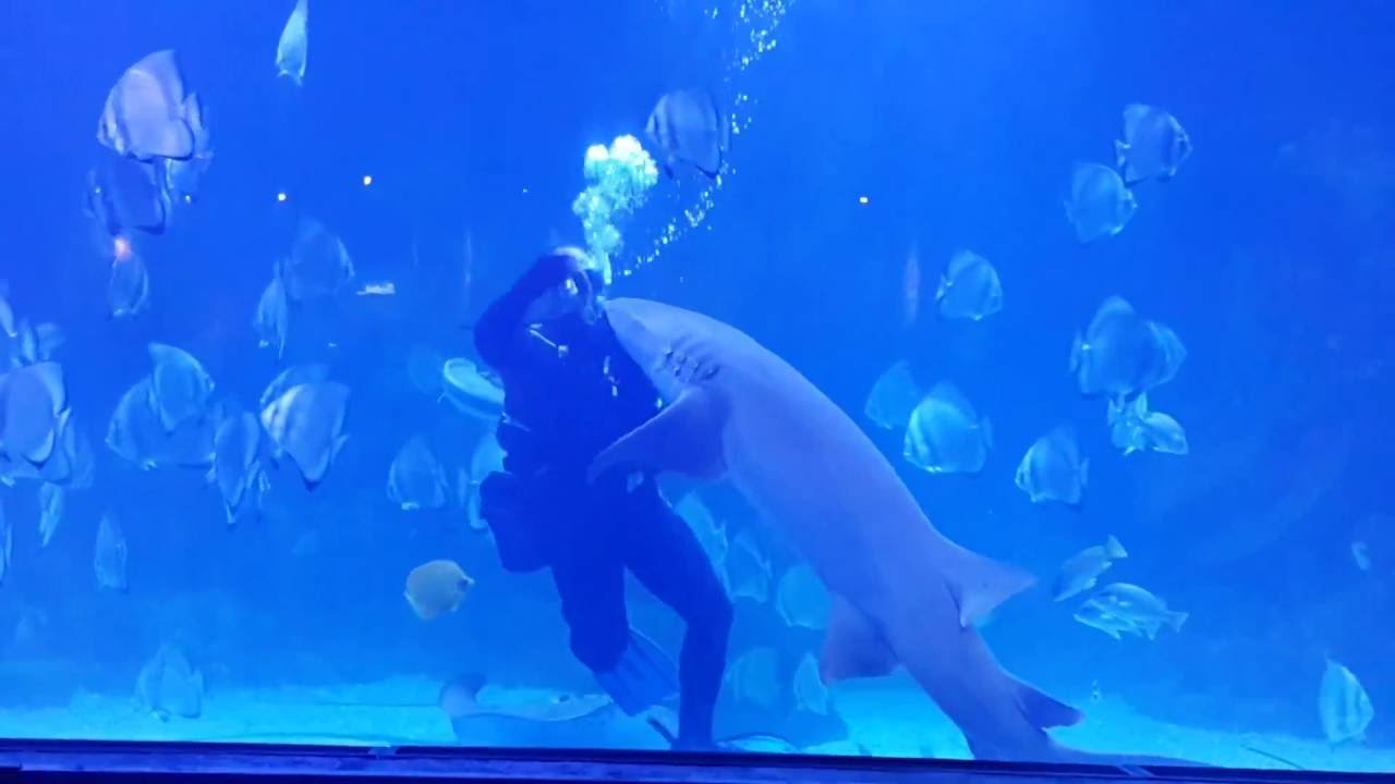 Hurghada Grand Aquarium