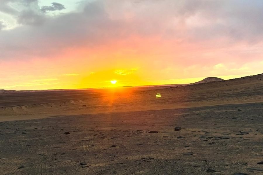 Day tour black & white desert