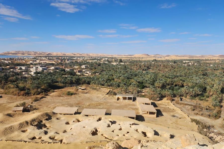 🏜️ Desert Day Tour & Overnight Adventure