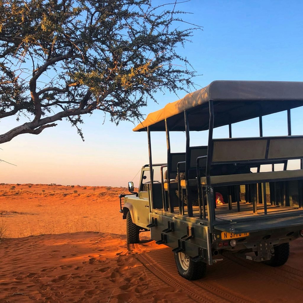 Egypt excursions 22 bernd-dittrich-D5GW6tyNn6c-unsplash