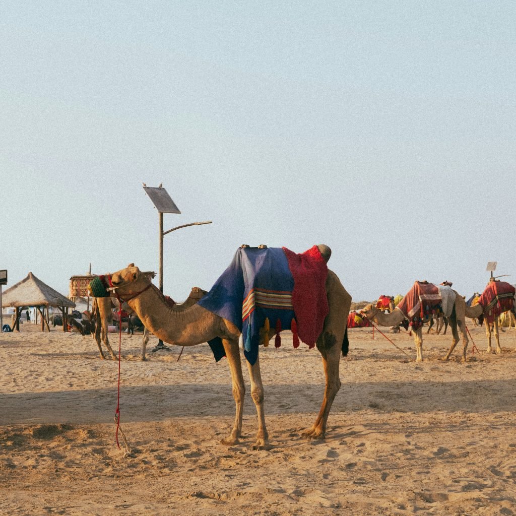 Egypt excursions 27 nikoloz-gachechiladze-7qkAhnqqMl4-unsplash