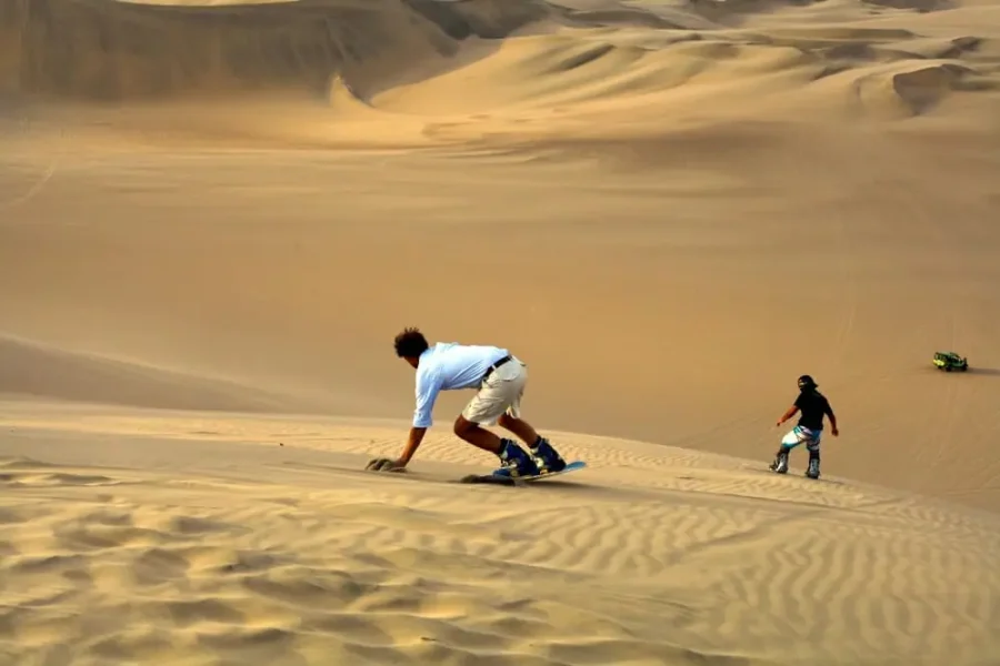 Safari Program – 3 Days / 2 Nights