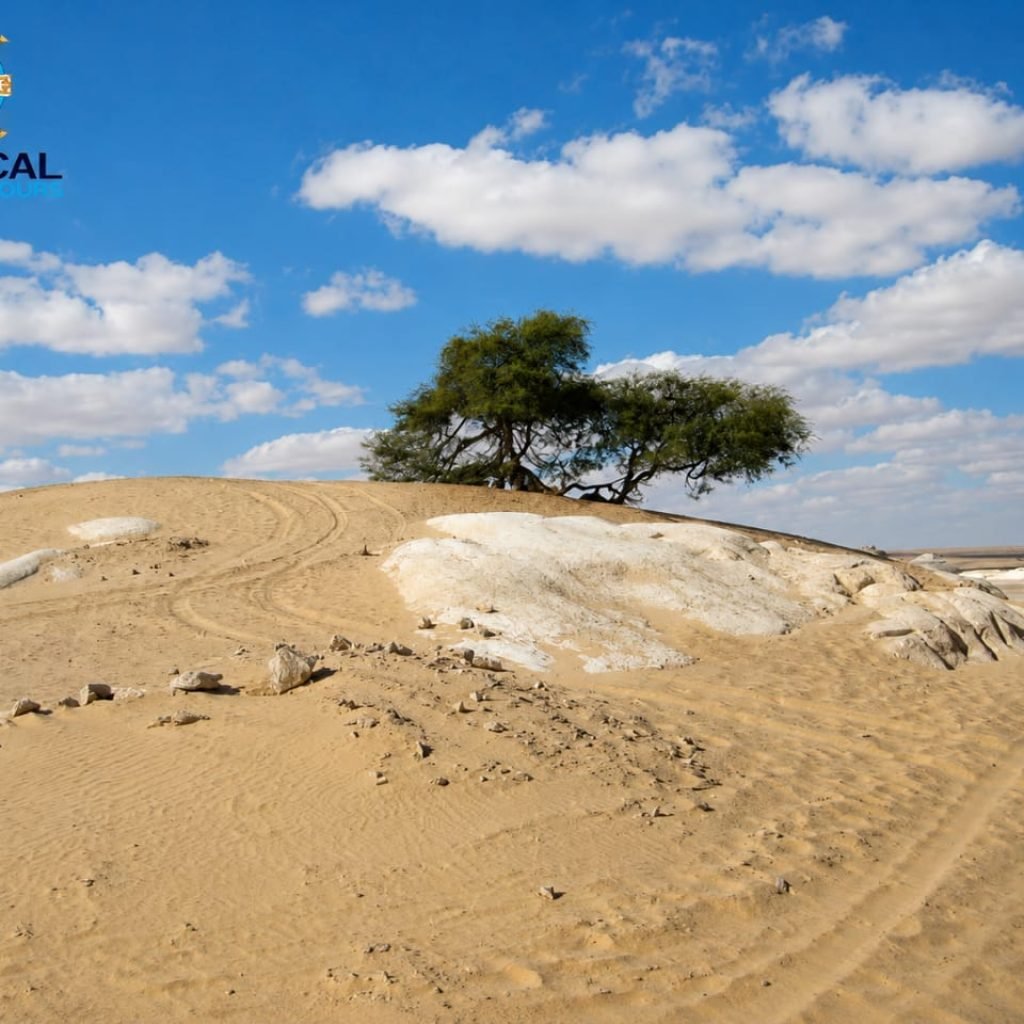 Egypt excursions 32 WhatsApp Image 2026-08-03 at 11.24.42 PM (1)