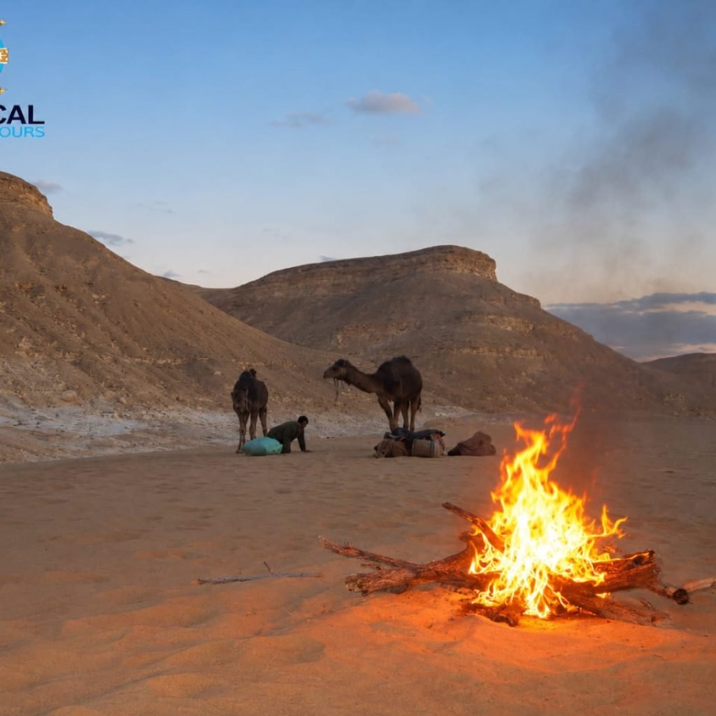 Egypt excursions 31 WhatsApp Image 2026-08-03 at 11.24.42 PM