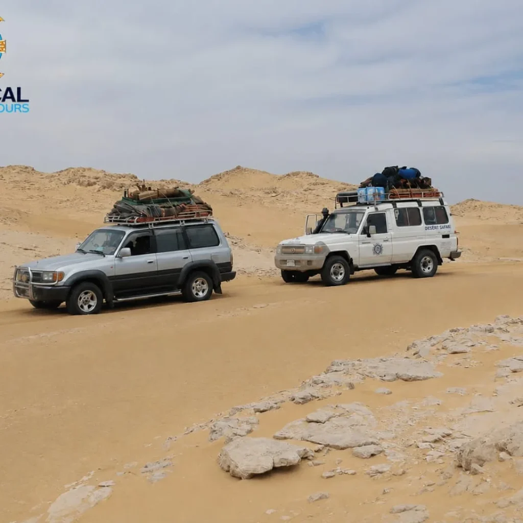 Egypt excursions 22 WhatsApp-Image-2026-08-03-at-11.51.28-PM
