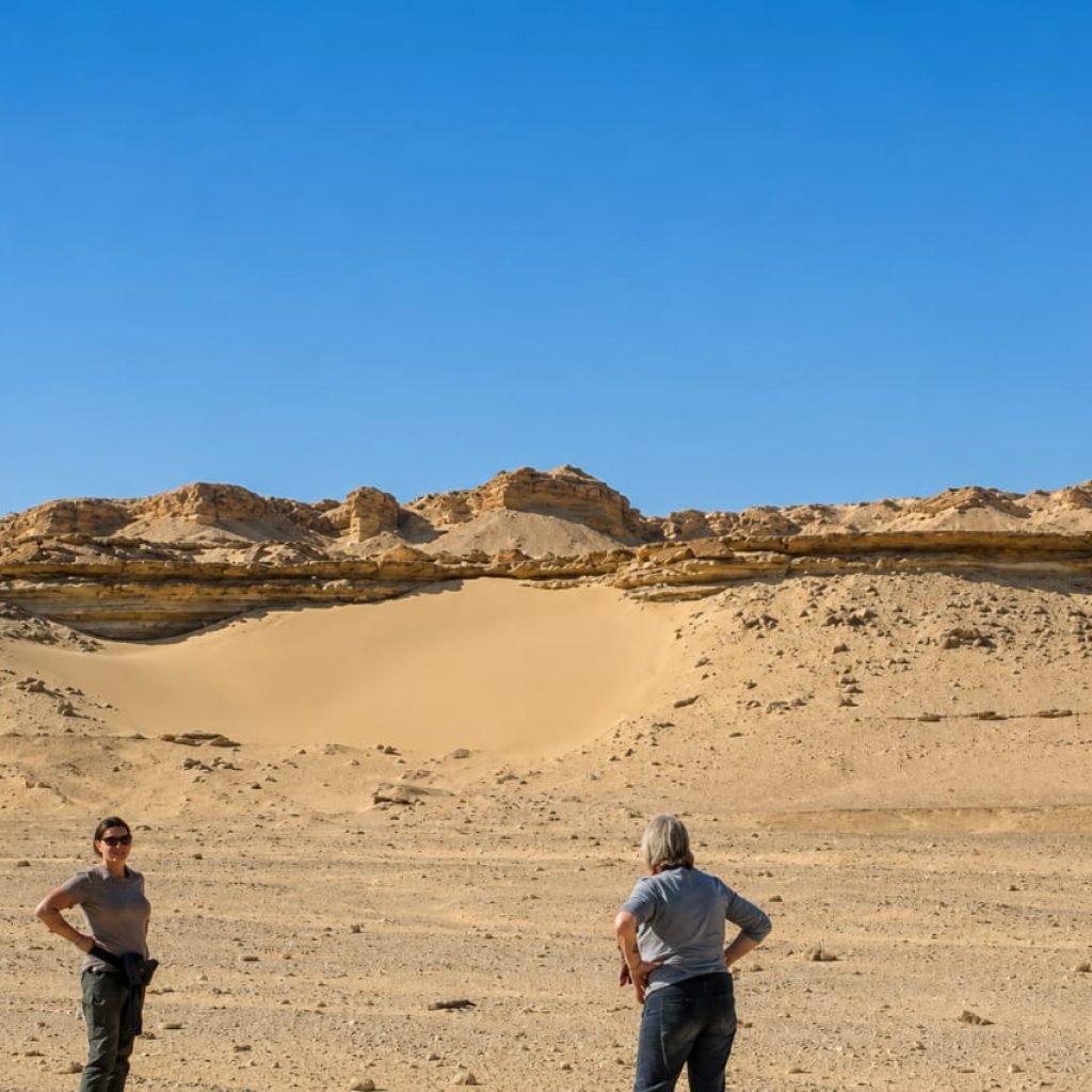 Egypt excursions 27 WhatsApp Image 2026-08-03 at 11.52.41 PM