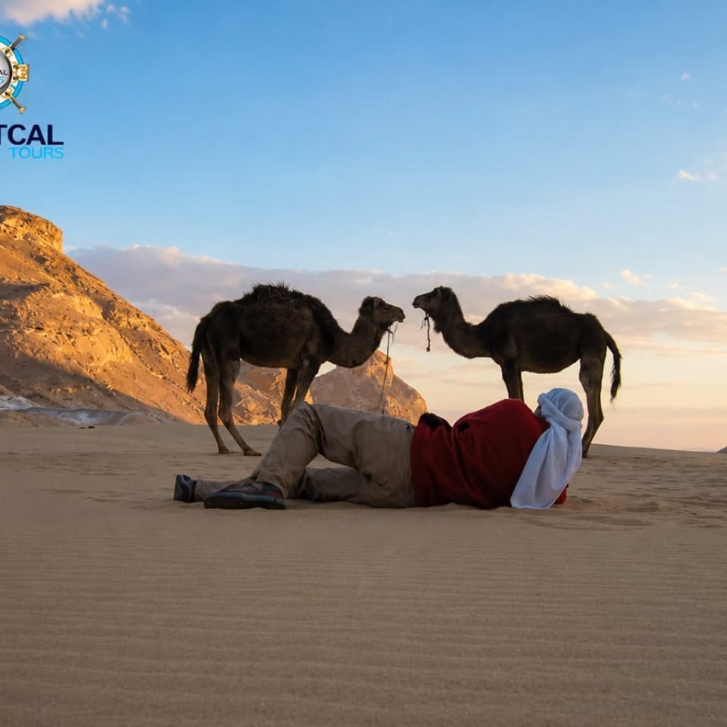 Egypt excursions 40 a6f189f5-dbd4-4b13-a15e-abfb097568f9